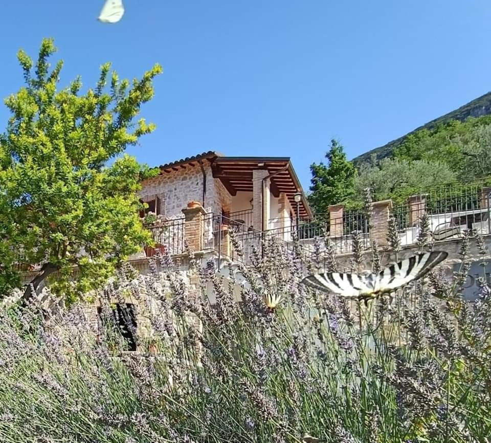 Pucci Country House Ferentillo Eksteriør bilde